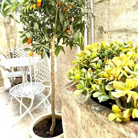 Lemon Ortigia Apartmán Syracuse