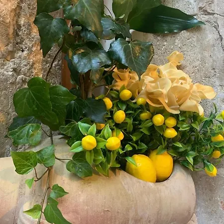 Lemon Ortigia * Syracuse