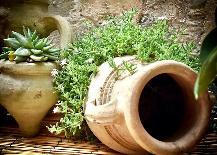 Lemon Ortigia Apartamento