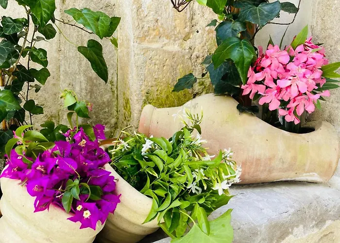 Lemon Ortigia Apartamento *