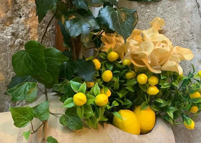 Lemon Ortigia * Syracuse