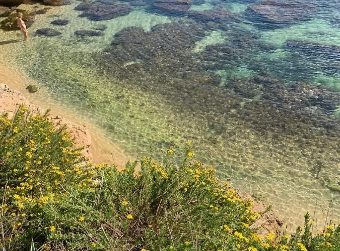 Lemon Ortigia Apartamento Syracuse