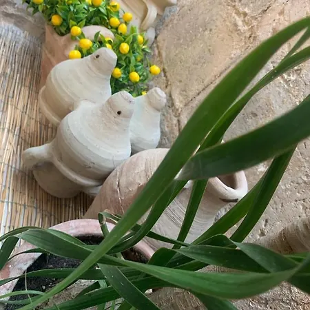 Lemon Ortigia Apartmán *